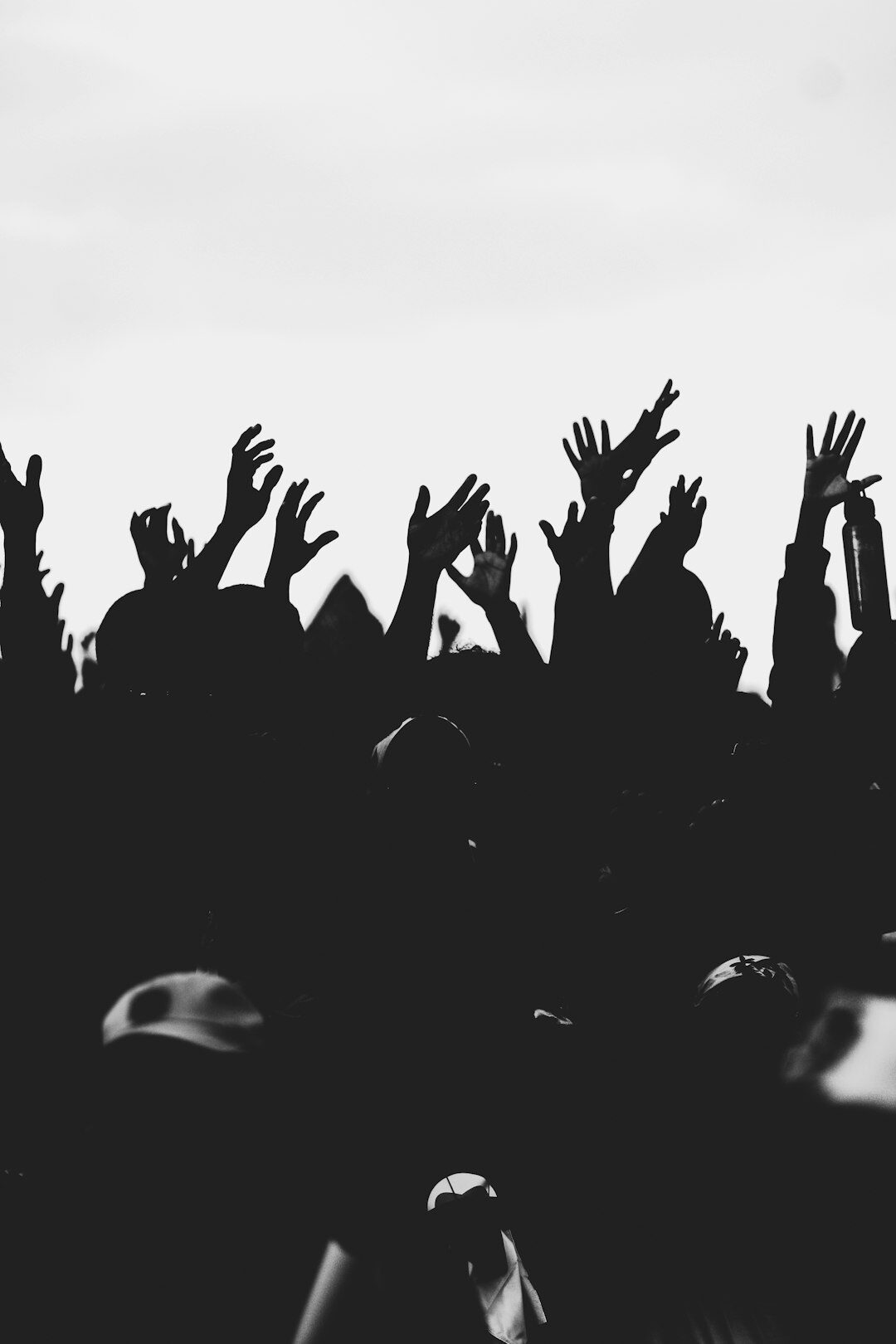 fans cheering at concert
